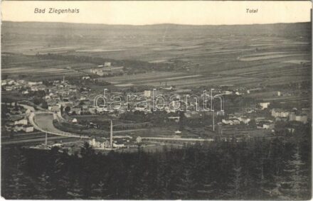Glucholazy, Bad Ziegenhals;