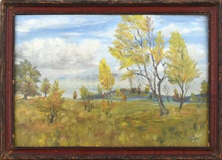 Olvashatatlan jelzéssel: Táj. Olaj, farost, jelzett. Kissé sérült fa keretben, 27×38 cm