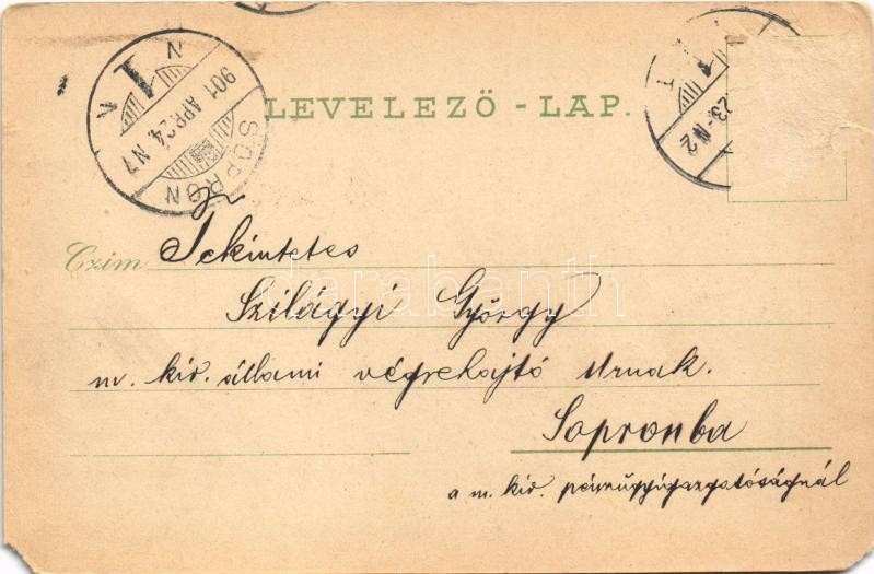 1901 Pécs, Székesegyház. Özv. Tausz Vilmosné kiadása (b) - Image 2