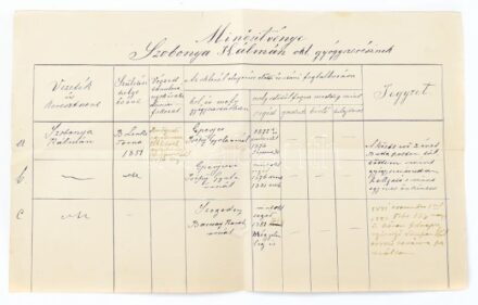 1881 Szobonya Kálmán okl gyógyszerász minősítvénye a korábban szolgált gyógyszertárak neveivel .