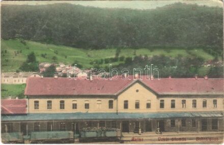 Anina, Stájerlakanina, Stájerlak, Steierdorf; vasútállomás, tehervagonok. Hollschütz felvétele és kiadása / railway station, freight wagons (EK)