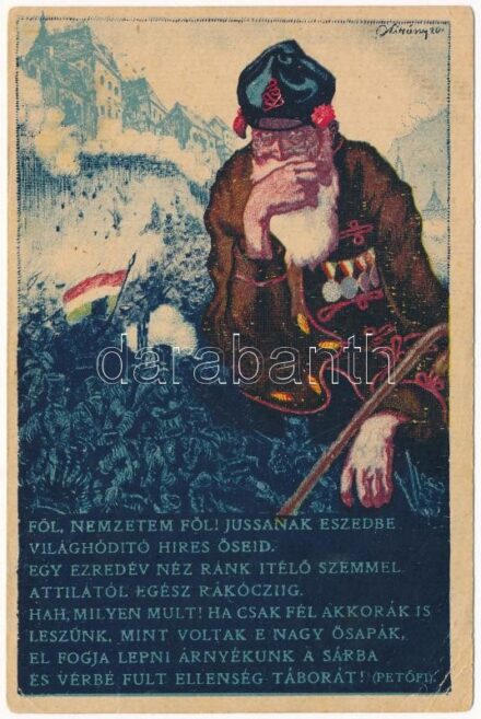 Föl nemzetem föl! Kiadja Magyarország Területi Épségének Védelmi Ligája / In memoriam of the reoccupation of the fortress of Buda from the Austrian troops. Hungarian irredenta propaganda (EK)