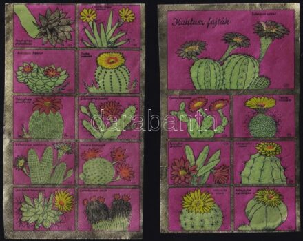Kaktuszok 4 különböző 16 +1-es sorozat