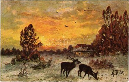 Hunting art postcard, deer and stag. H.S.M. Serie 515. artist signed (EK)