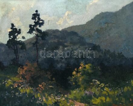 Olvashatatlan jelzéssel, a XX. sz. elején működött festő alkotása: Hegyvidéki táj. Olaj, karton. Dekoratív, sérült fa keretben, 40x50 cm