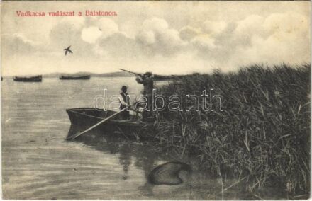 1910 Balaton, vadkacsa vadászat csónakból puskával. Divald Károly műintézete 1063-1908. (EK)