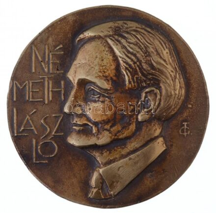 Tőrös Gábor (1934-) DN 'Németh László' egyoldalas, öntött Br emlékérem (127mm) T:2 ph.