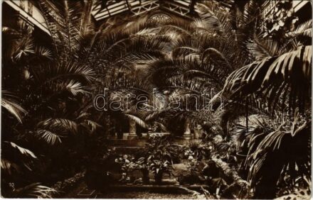 Budapest XI. Szt. Gellért gyógyfürdő és szálloda pálmakert, belső