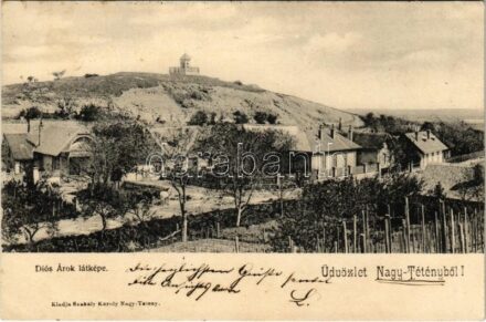 1903 Budapest XXII. Nagytétény, Nagy-Tétény; Diósárok, kilátó torony. Szakály Károly kiadása