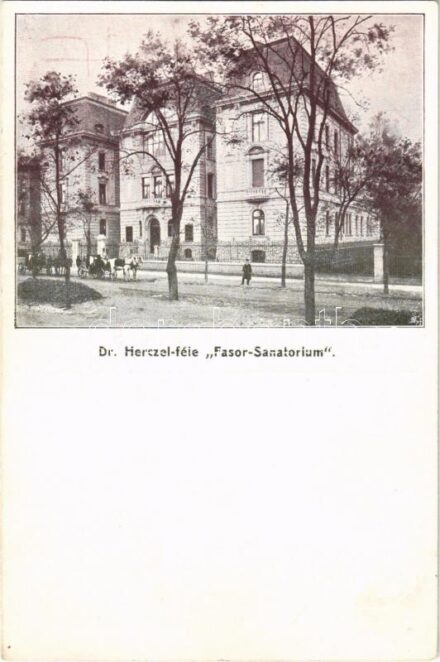 Budapest XIV. Városligeti fasor, Dr. Herczel-féle 'Fasor Szanatórium'