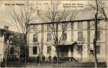 Nagyősz, Nagy Ősz, Triebswetter, Tomnatic; Schleich féle malom / Mühle / mill (fl)