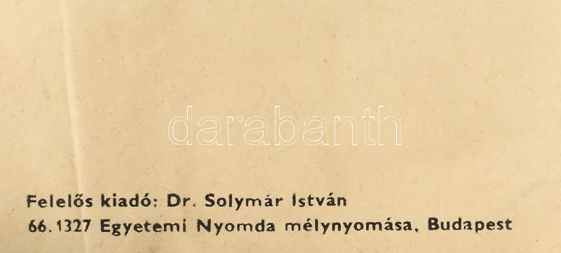 1966 Pór Bertalan Emlékkiállítása, Magyar Nemzeti Galéria, hajtott, szakadással, 81×57 cm - Image 2