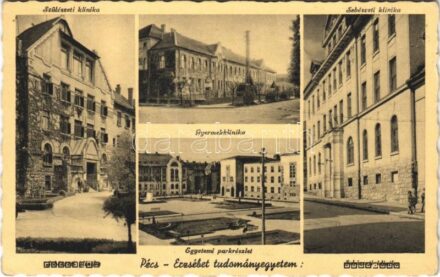 Pécs, Erzsébet tudományegyetem, szülészeti, sebészeti és gyermek klinika