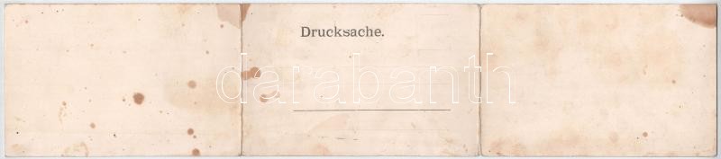 Karlovy Vary, Karlsbad; Art Nouveau, floral 3-tiled folding panoramacard (fl) - Image 2