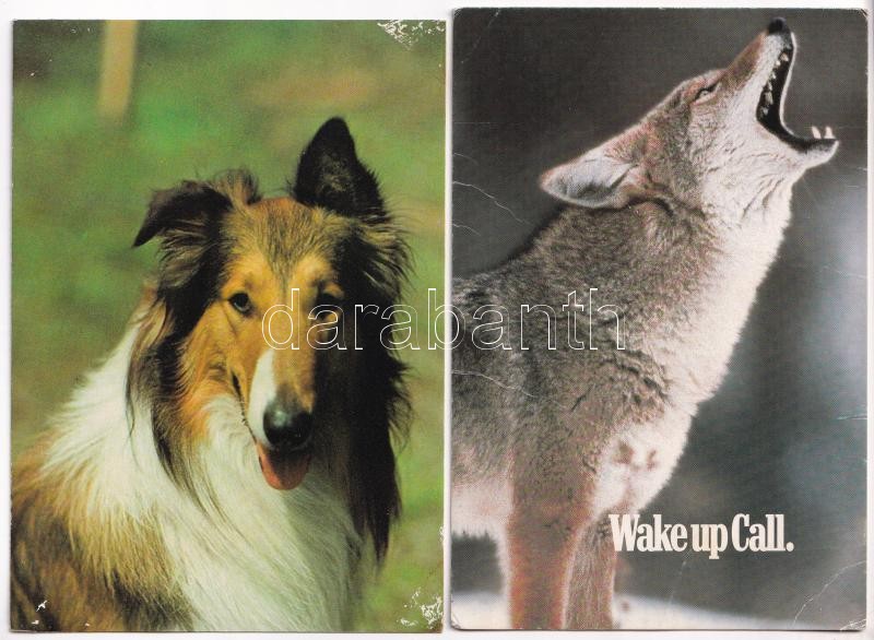 20 db MODERN állatos motívum képeslap / 20 modern animal motive postcards - Image 2