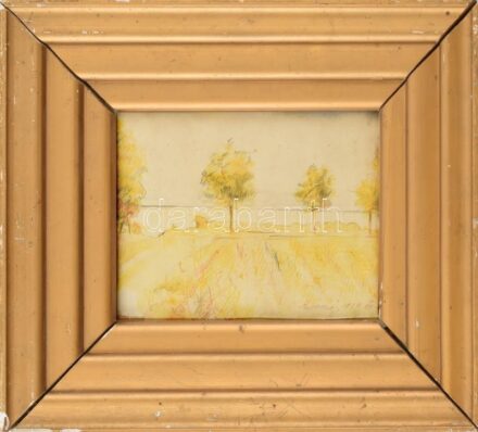 Jelzés nélkül: Balatonszárszó. Színes ceruza, papír. Dekoratív, kissé sérült régi üvegezett keretben. Lap széle kissé sérült. 15x20 cm