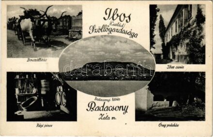 Badacsony, Ibos család szőlőgazdasága, borszállítás ökrös szekéren, Ibor kúria, régi pince, öreg présház, látkép. reklám (fl)