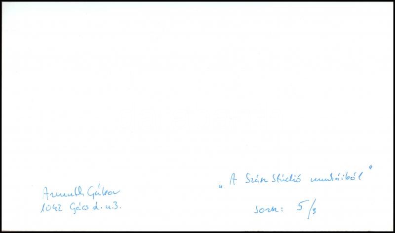 Armuth Gábor (?-?): Szász Stúdió (Szász Endre (1926-2003)) munkáiból: teáskészlet fotó, a hátoldalán feliratozott, 17x30cm - Image 2