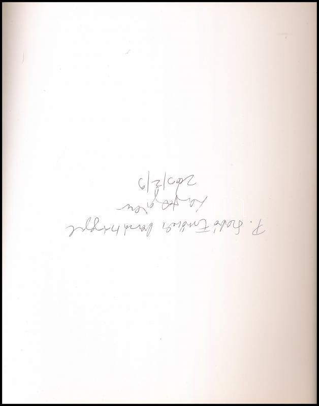 Lajta Gábor. Mai Magyar Képzőművészet. 8. Contemporary Art from Hungary. Bp., 2009., Faur Zsófia - Ráday Galéria. A művész munkáinak reprodukcióival. Kiadói papírkötés, benne hullámos lapokkal. A művész, Lajta Gábor (1955-) - Image 2