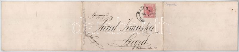 1908 Cernavoda, Cerna Voda; Vederea generala / 3-tiled folding panoramacard - Image 2