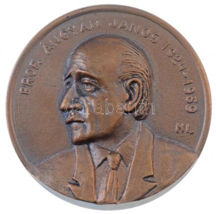 Nowotarski István (1909-) 1979. 'Prof. Ángyán János 1924-1959' egyoldalas, öntött Br emlékérem (97mm) T:1- CS 5.