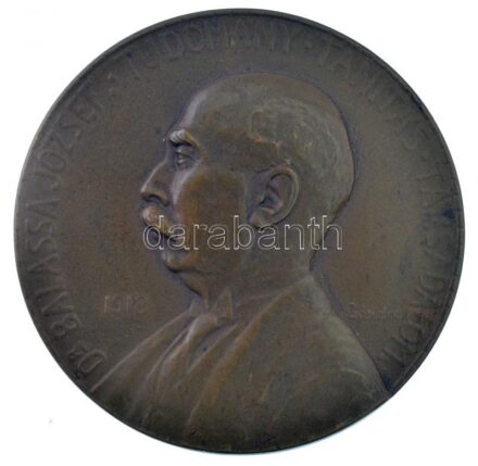 Gárdos Aladár (1878-1944) 1918. 'Dr. Balassa József' Br emlékérem. 'DR. BALASSA JÓZSEF - TUDOMÁNY - TANÍTÁS - TÁRSADALOM' (50,5mm) T:1-