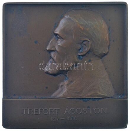 Berán Lajos (1882-1943) 1904. 'Trefort Ágoston 1817-1888 / Alapítójának és első elnökének - A Magyar Iparművészeti Társulat' Br emlékplakett (59x61mm) T:2 HP 1075.