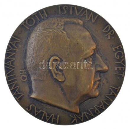 Beck Ötvös Fülöp (1873-1945) 1934. 'Dr. Tóth István' Br emlékérem. 'TÓTH ISTVÁN DR. EGYET. TANÁRNAK HÁLÁS TANÍTVÁNYAI. / NEHÉZ HIVATÁSA KÖZBEN A MŰVÉSZETEK ÁRNYÉKÁBAN ÜDÍTÉ LELKÉT.' (153,14g/65mm) T:1- HV 736.