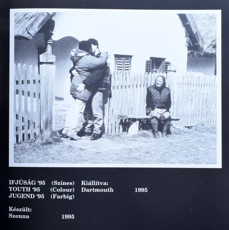 Szentiványi Árpád: Visszapillantás. Válogatás fél évszázad munkáiból. Kaposvár, 1996, szerzői magánkiadás. Számos fekete-fehér fotóval. Magyar, angol és német nyelven. Kiadói papírkötés, kissé kopott borítóval, az utolsó - Image 3
