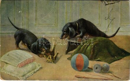 Tacskók / Dachshund dogs (Rb)