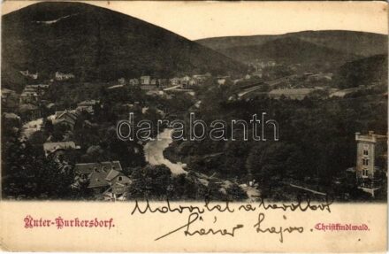 1905 Purkersdorf, Unter-Purkersdorf; Christkindlwald (EB)