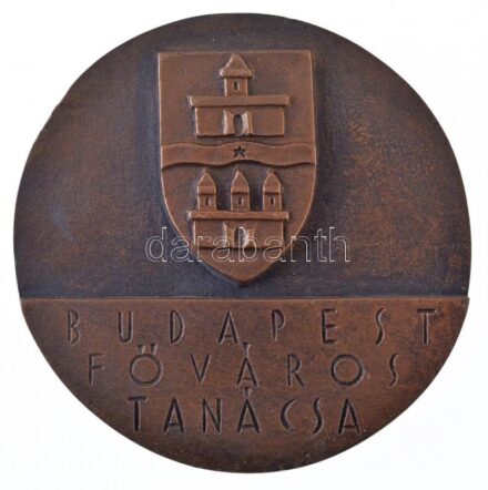 ~1970-1980. 'Budapest Főváros Tanácsa' kétoldalas, öntött bronz plakett, előlapján az Országház épületével (68mm) T:1- kis patina