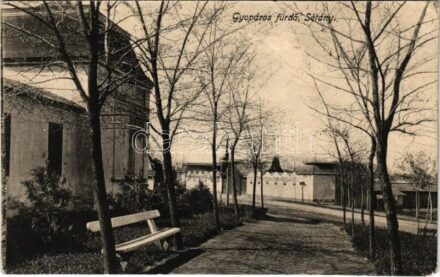 Gyopáros-fürdő (Orosháza), sétány (Rb)