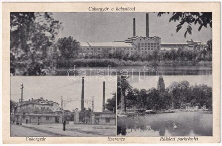 1942 Szerencs, Cukorgyár, halastó, Rákóczi park