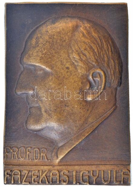 DN 'Prof. Dr. Fazekas I. Gyula' egyoldalas, öntött bronz plakett (141x98mm) T:2