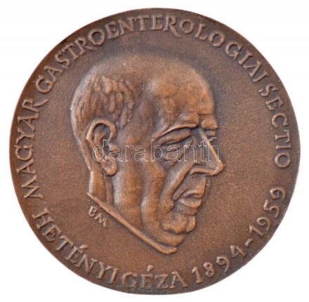 Borsos Miklós (1906-1990) DN. 'Magyar Gastroenterologiai Sectio Hetényi Géza 1894-1959 / Hetényi Géza Emlékelőadás Parádfürdő 19..' kétoldalas, bronz emlékérem, hátoldalon részben kitöltött dátummal (103mm) T:1-