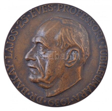 Abonyi Grantner Jenő (1907-1983) 1939. 'Dr. Bakay Lajos 25 éves professori jubileumára 1939' egyoldalas bronz plakett, nem eredeti tokban (103mm) T:1-