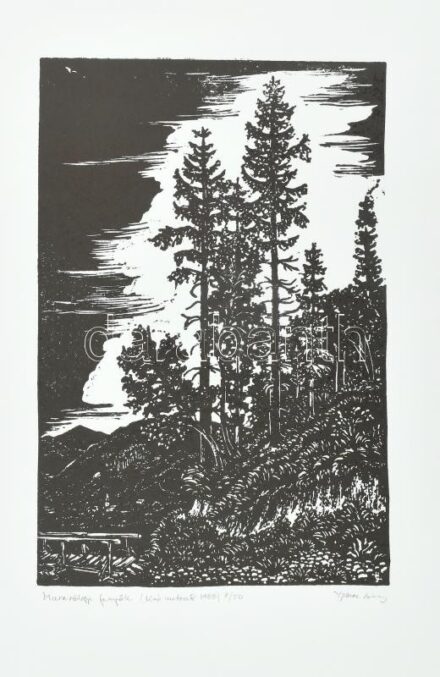 Olvashatatlan jelzéssel: Muravölgyi emlék. Linómetszet, papír. Számozott: 8/50. 27×17,5 cm. Soós Imre (1921-2013), műgyűjtő, művészeti író, a Kisgrafika folyóirat szerkesztője, a Magyar Nemzeti Galéria Baráti Köre alelnökének