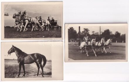 Budapest, Országos Mezőgazdasági Kiállítás, ló. Képzőművészeti Alap - 3 db képeslap