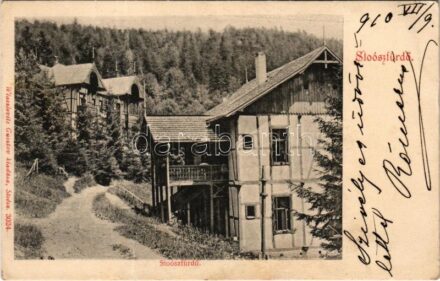 1910 Stószfürdő, Stoósz-fürdő, Kúpele Stós; nyaralók. Wlaszlovits Gusztáv 3024. / villas (fa)