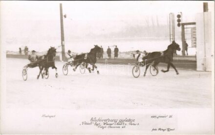 1937 Budapest, Eladóverseny győztese. 'Vitézlő' hajt.: Wiesner. F. / Hungarian horse race. Faragó (Újpest) photo