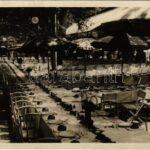 Budapest XIV. Városliget, Gundel Állatkerti vendéglője