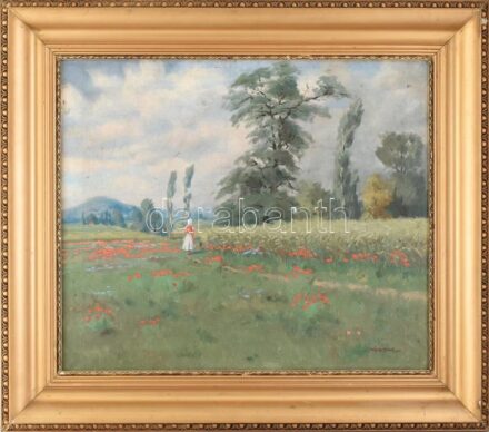 Némethy jelzéssel: Nő a pipacsos réten. Olaj, vászon. . kopott üvegezett fakeretben. 50x60cm