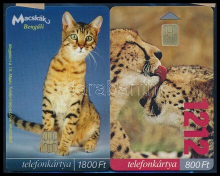 1999-2003 MATÁV házi és vadmacska 2db klf 2000 és 20000 példányos ritkaság is, jó állapotban