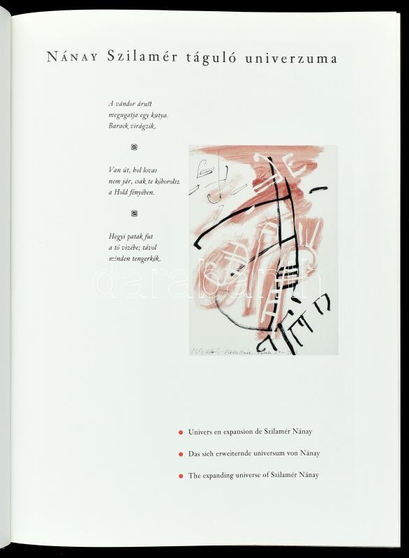 Mezei Ottó: Nánay Szilamér táguló univerzuma. Bp., 2003, Szín-Tézis M. A. K. E. Színes reprodukciókkal gazdagon illusztrálva. Magyar, angol, francia és német nyelven. Kiadói kartonált papírkötés, kiadói papír védőborítóban, - Image 2