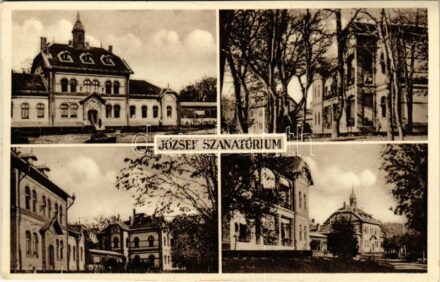 Gyula, József szanatórium. Scheibert Lajos kiadása (EK)