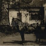 1916 Fiú lovon / boy with horse. photo (EM)
