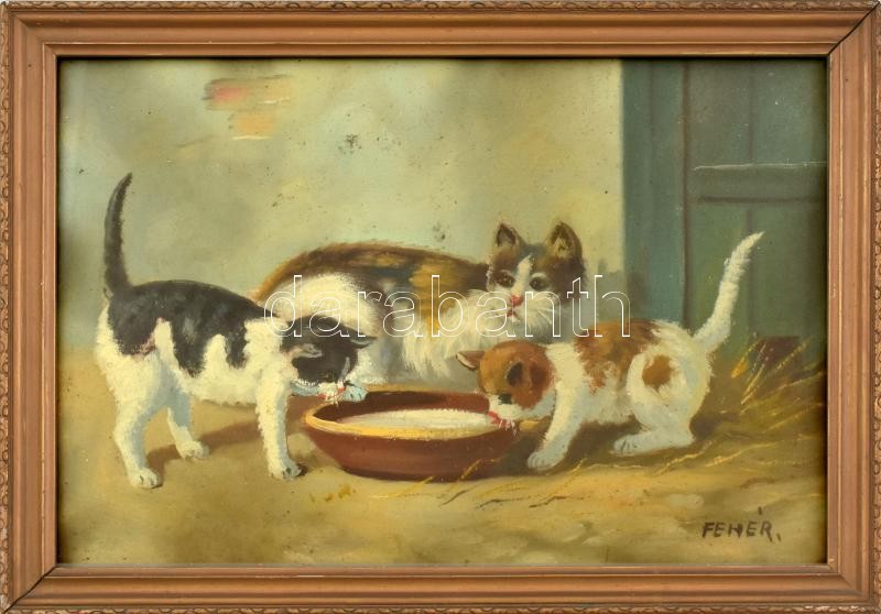 Fehér jelzéssel: Cicák. Olaj, karton. Üvegezett fakeretben. 23,5x34 cm