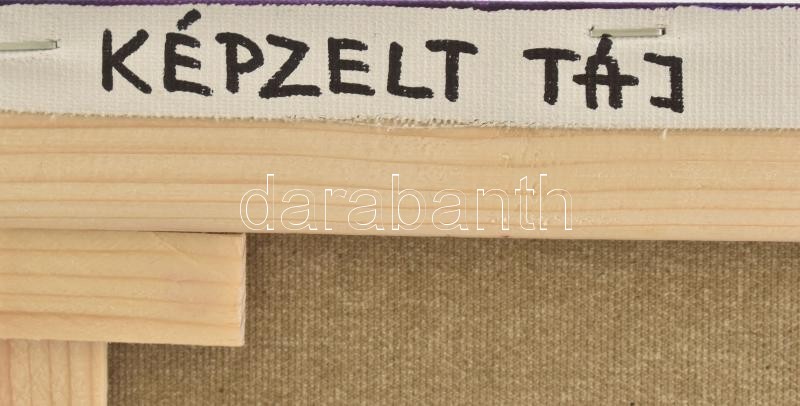 David Beeri (1951-): Képzelt táj. Olaj, vászon. Jelzett, a hátoldalán autográf felirattal.50x60 cm - Image 3