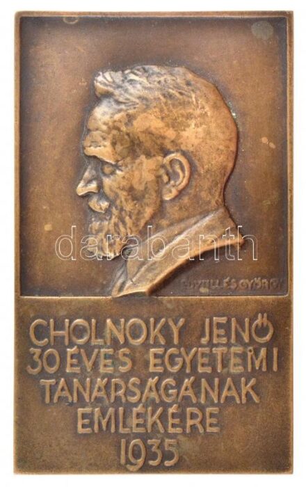 1935. 'Cholnoky Jenő 30 éves egyetemi tanárságnak emlékére 1935' egyoldalas, öntött Br plakett. Szign.: Edvill és György (103x62mm) T:2 patina